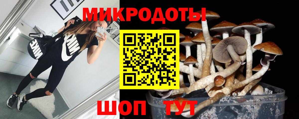 Псилоцибиновые грибы Psilocybine cubensis Электрогорск