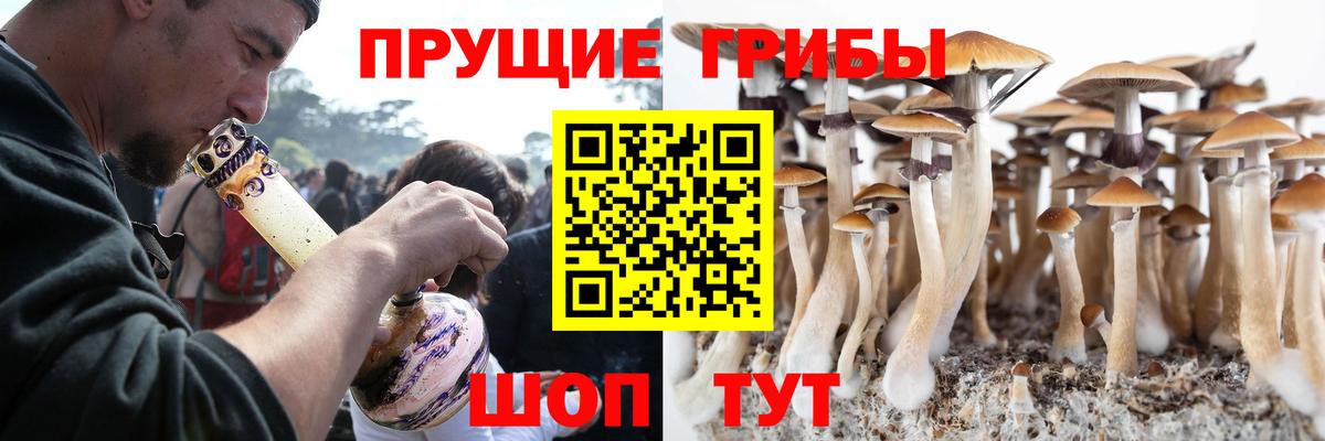 Псилоцибиновые грибы мухоморы  Вход с VPN  Электрогорск  Галлюциногенные грибы GOLDEN TEACHER 
